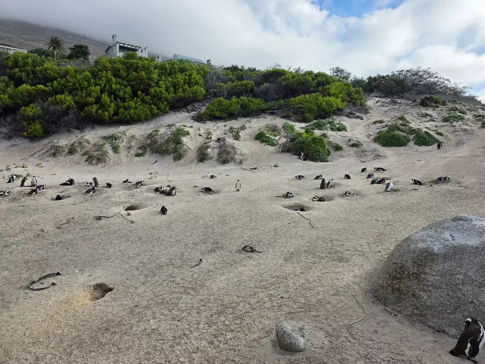 Boulders Beach